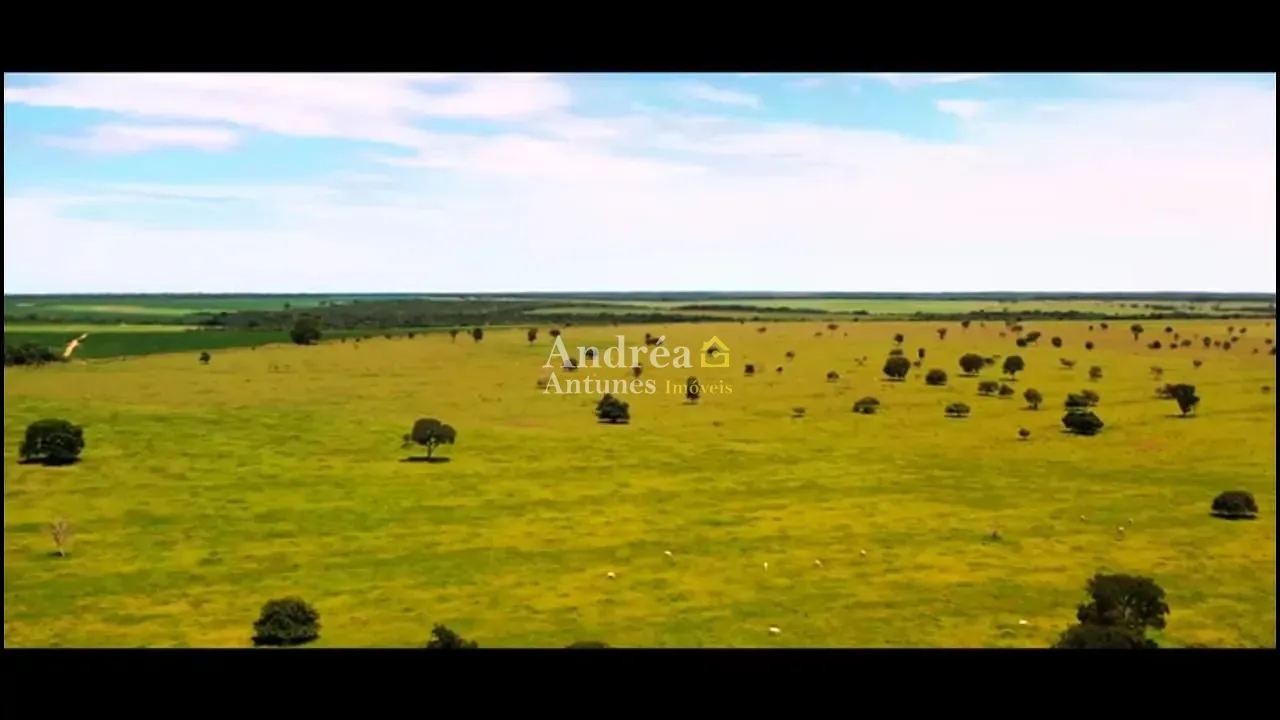 Fazenda, 2 hectares - Foto 12