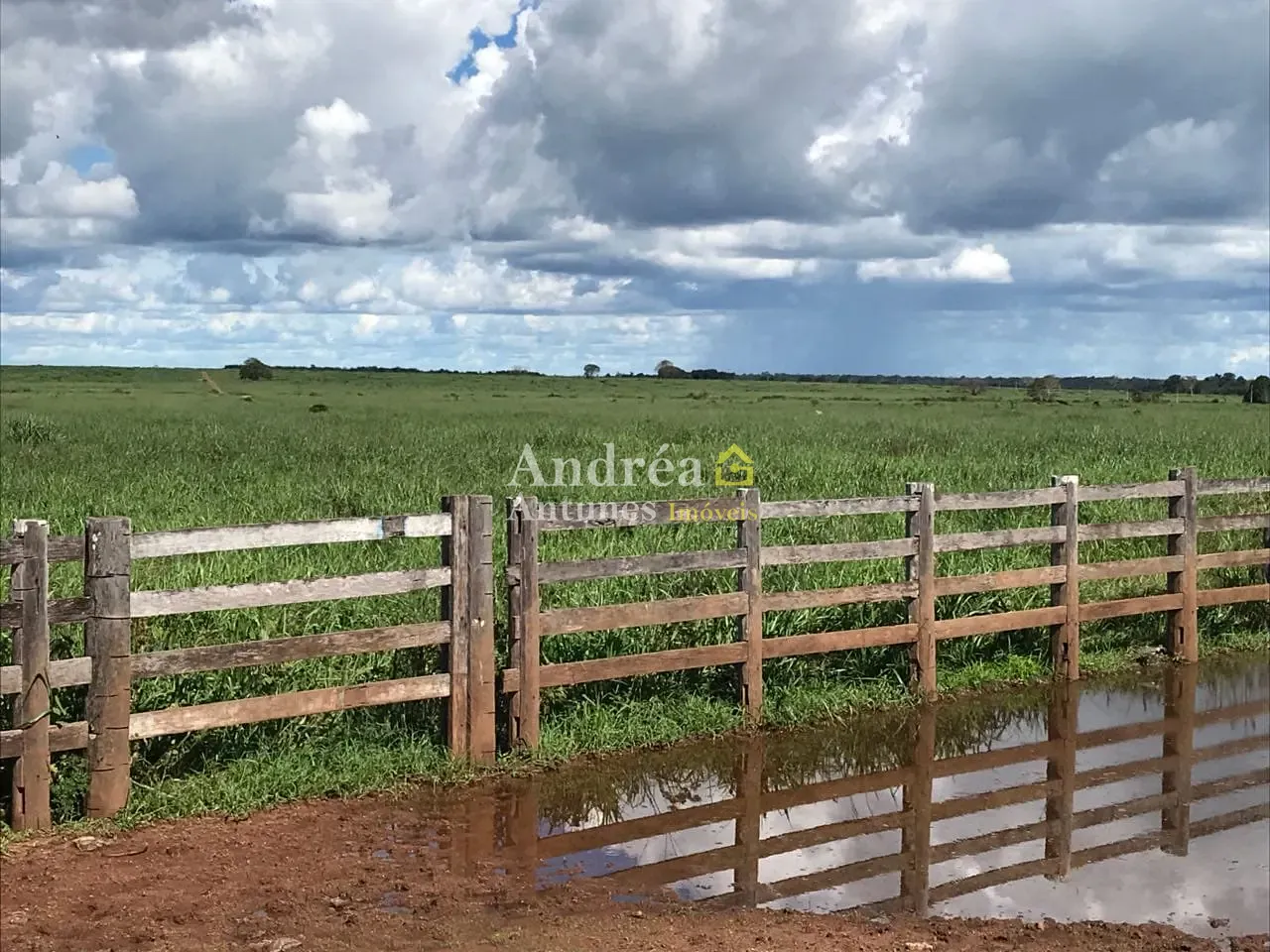 Fazenda, 2 hectares - Foto 3