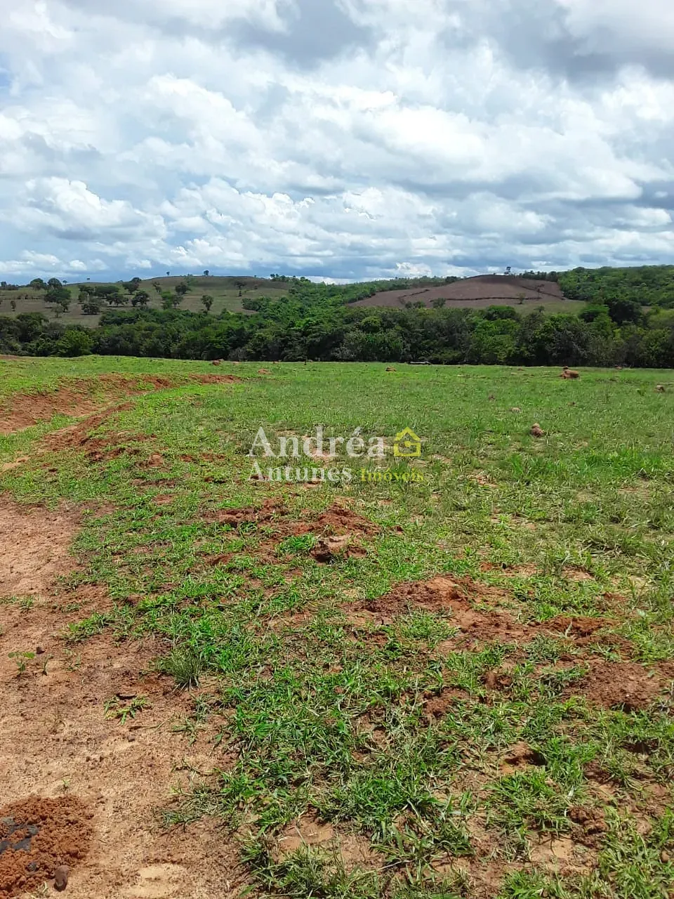 Fazenda, 2 hectares - Foto 11