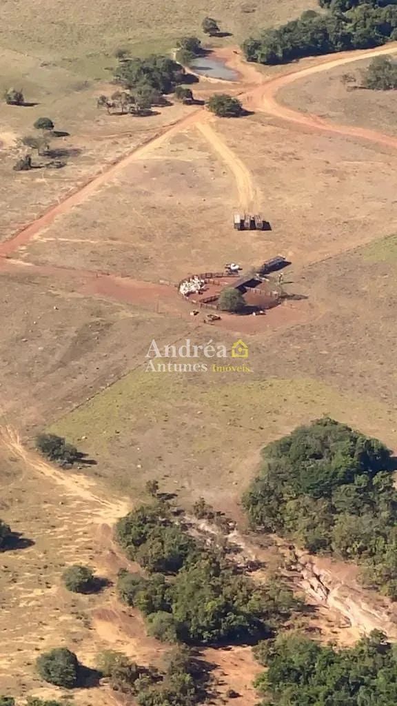 Fazenda, 2 hectares - Foto 10