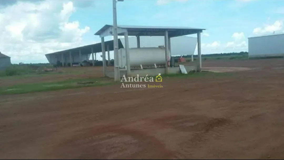 Fazenda, 2 hectares - Foto 15