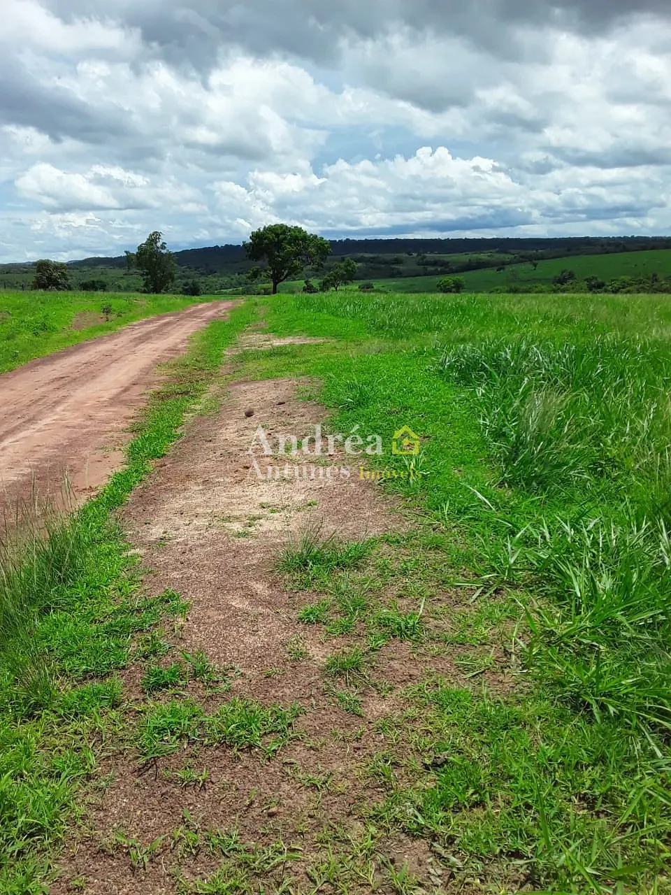 Fazenda, 2 hectares - Foto 21