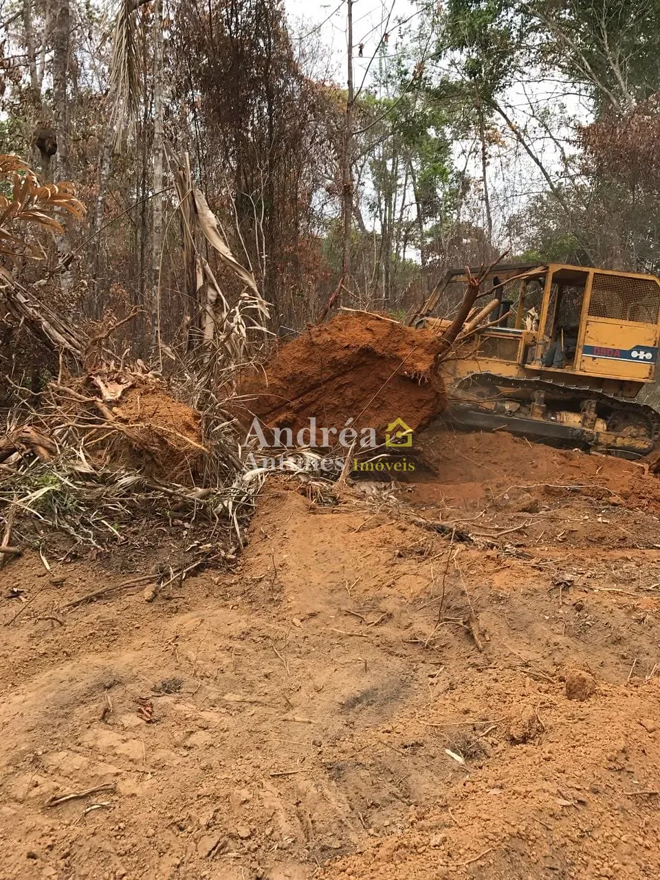 Fazenda, 2 hectares - Foto 18