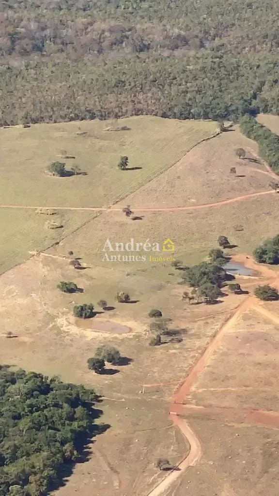 Fazenda, 2 hectares - Foto 30
