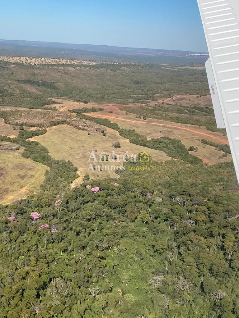Fazenda, 2 hectares - Foto 27