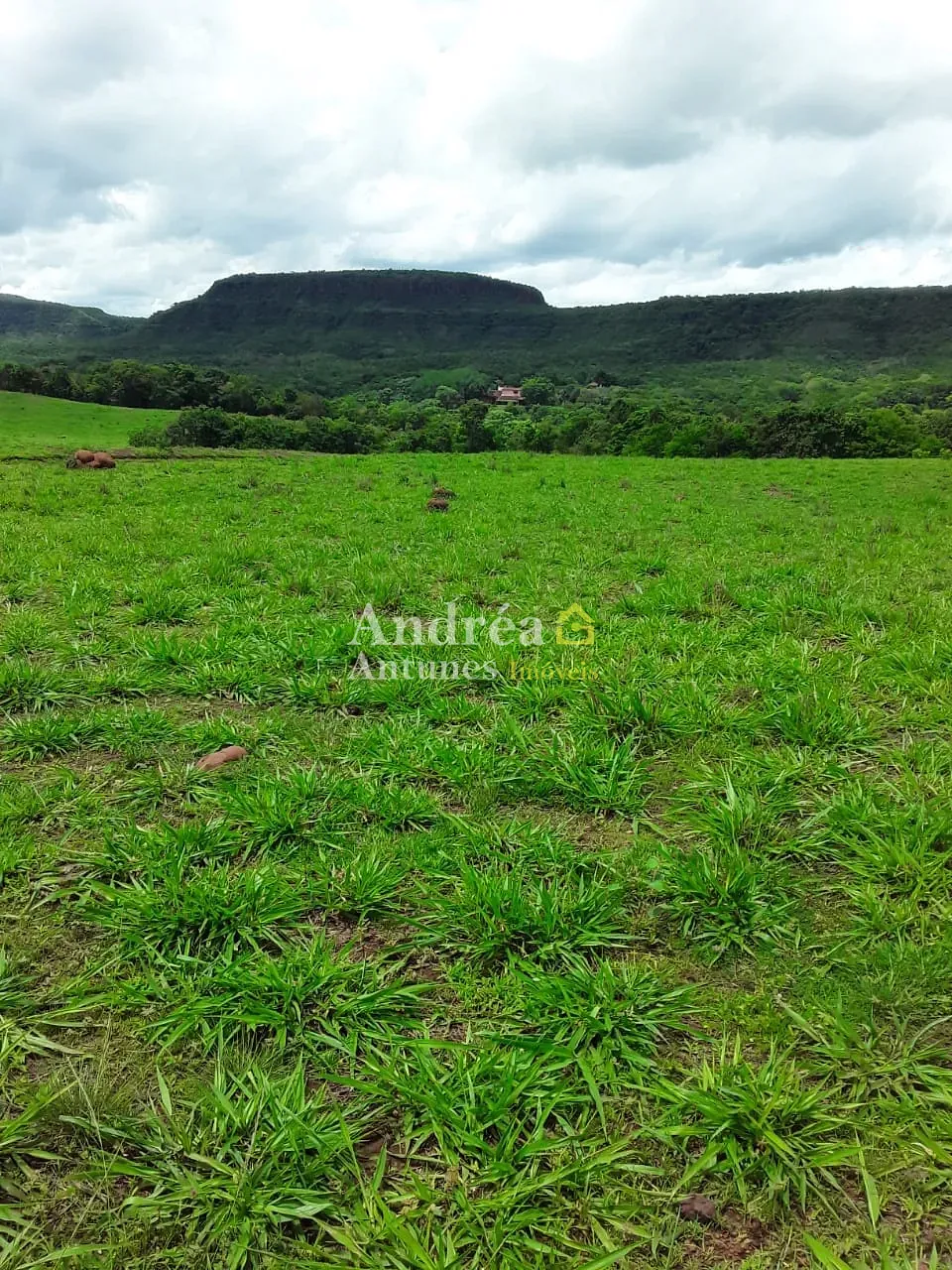 Fazenda, 2 hectares - Foto 22
