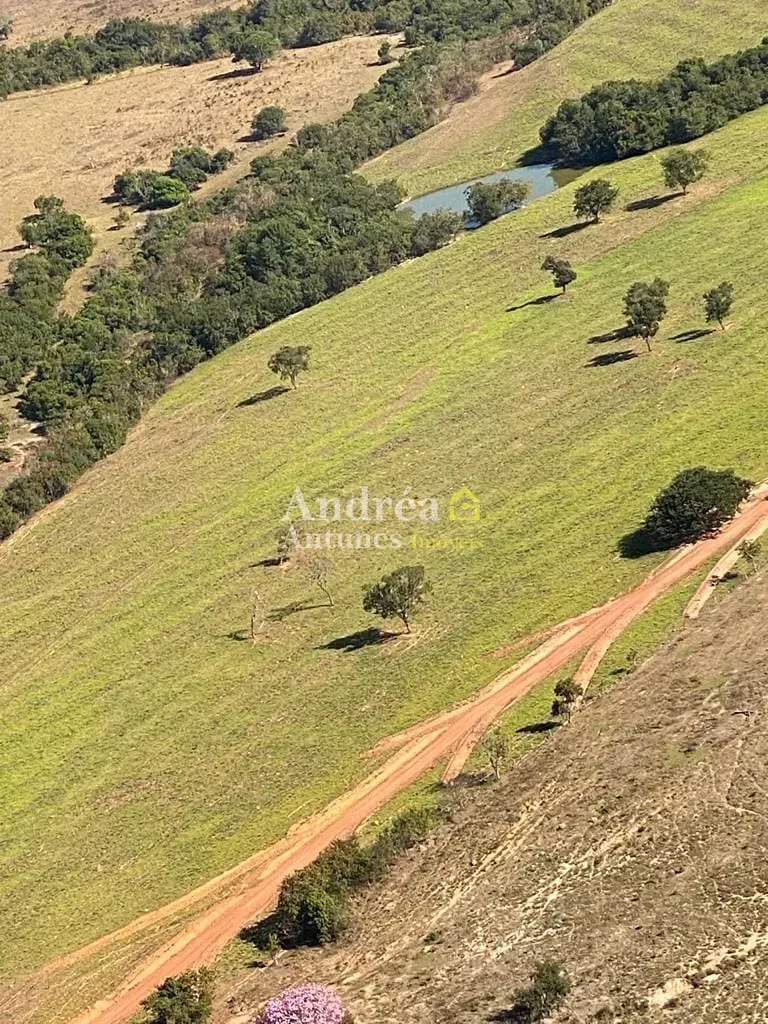 Fazenda, 2 hectares - Foto 23