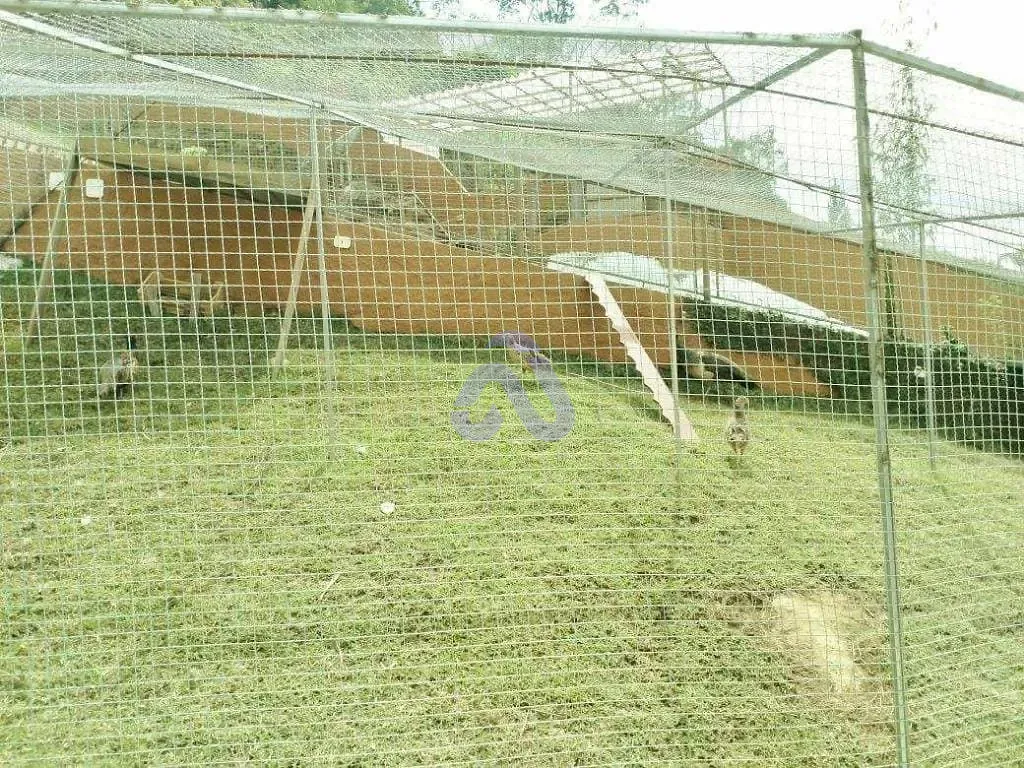 Chácara, 6 quartos, 6000 m² - Foto 17