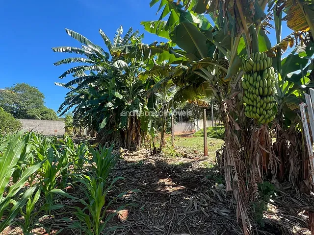 Chácara com 4040m² 2 quartos e 2 banheiros, à venda, no bairro Usina Três Bocas em Londrina