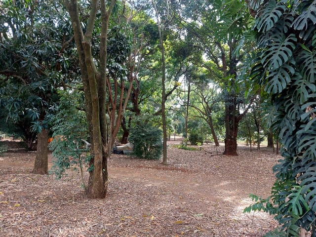 Chácara com 23874m² 10 quartos e 4 banheiros, à venda, no bairro Parque Oeste Industrial em Goiânia