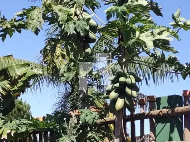 Chácara com 4220m² 6 quartos e 3 banheiros, à venda, no bairro Fazenda Marajoara em Campo Limpo Paulista