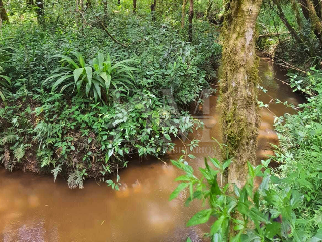 Chácara com 30250m², à venda, no bairro Bairro dos Lanças em Jaguariaíva