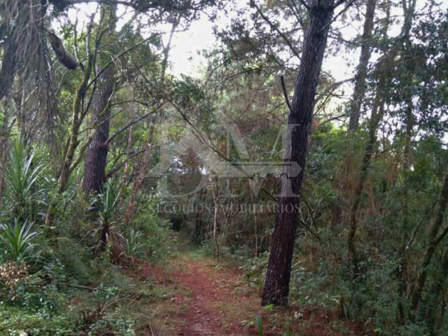Chácara com 30250m², à venda, no bairro Bairro dos Lanças em Jaguariaíva