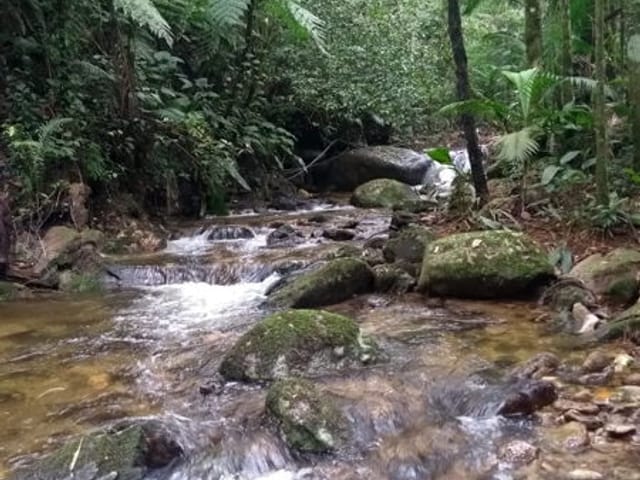 Chácara com 96000m², à venda, no bairro Água Preta em Pindamonhangaba