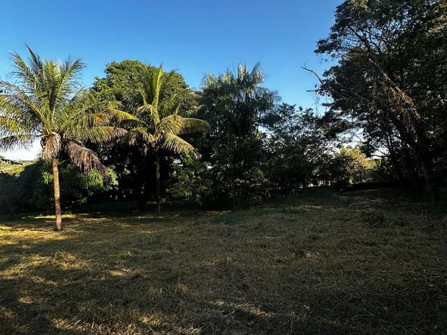 Chácara com 5050m² 2 quartos e 1 banheiro, à venda, no bairro Novo México em Limeira