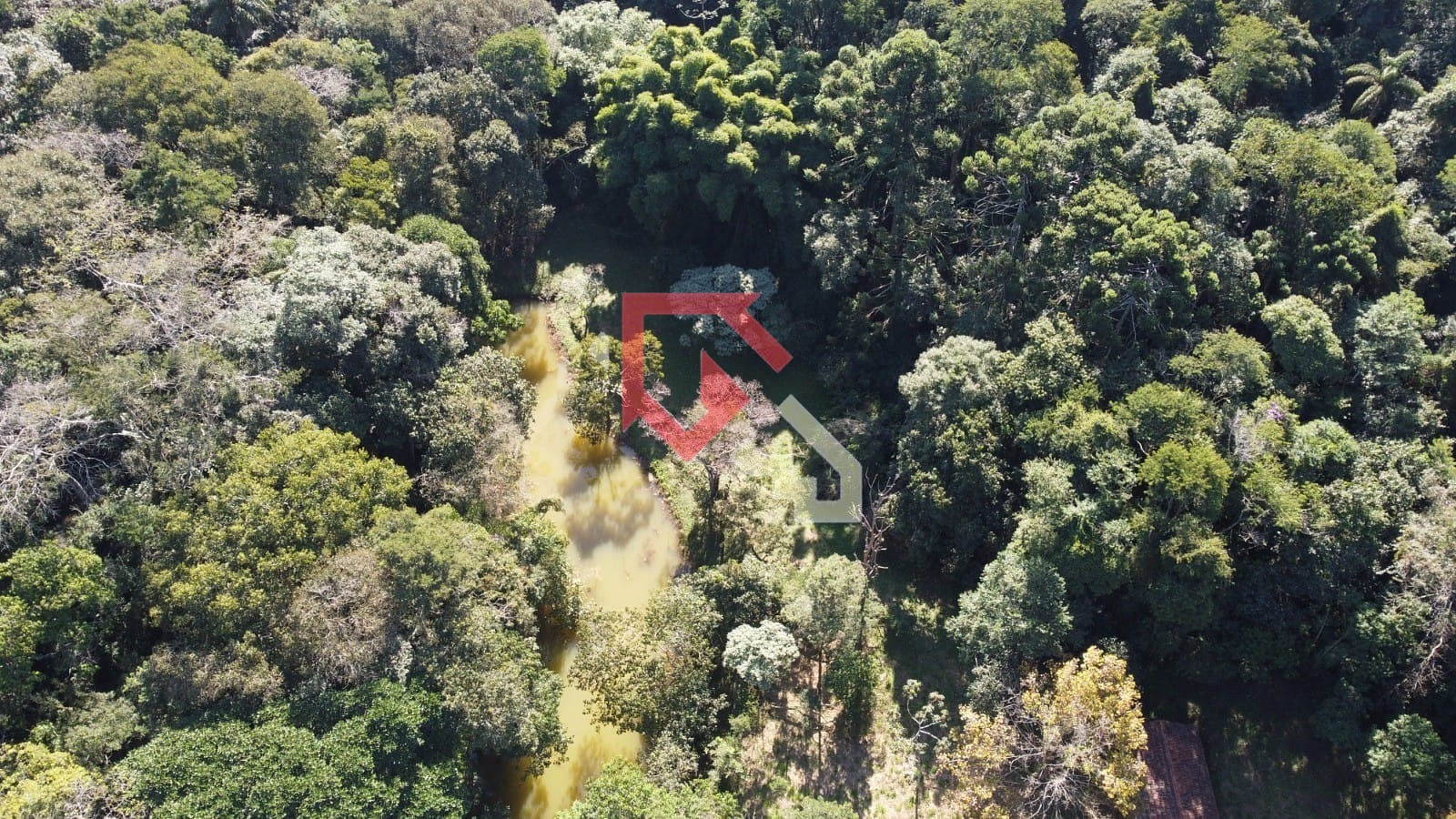 Sítio, 10 quartos, 10 hectares - Foto 4