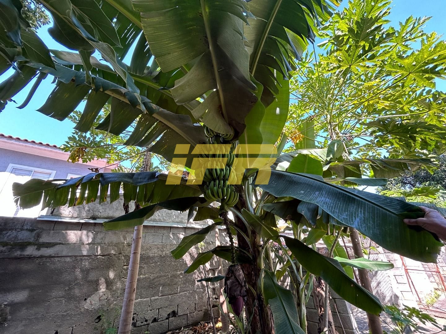 Chácara, 2 quartos, 1050 m² - Foto 17