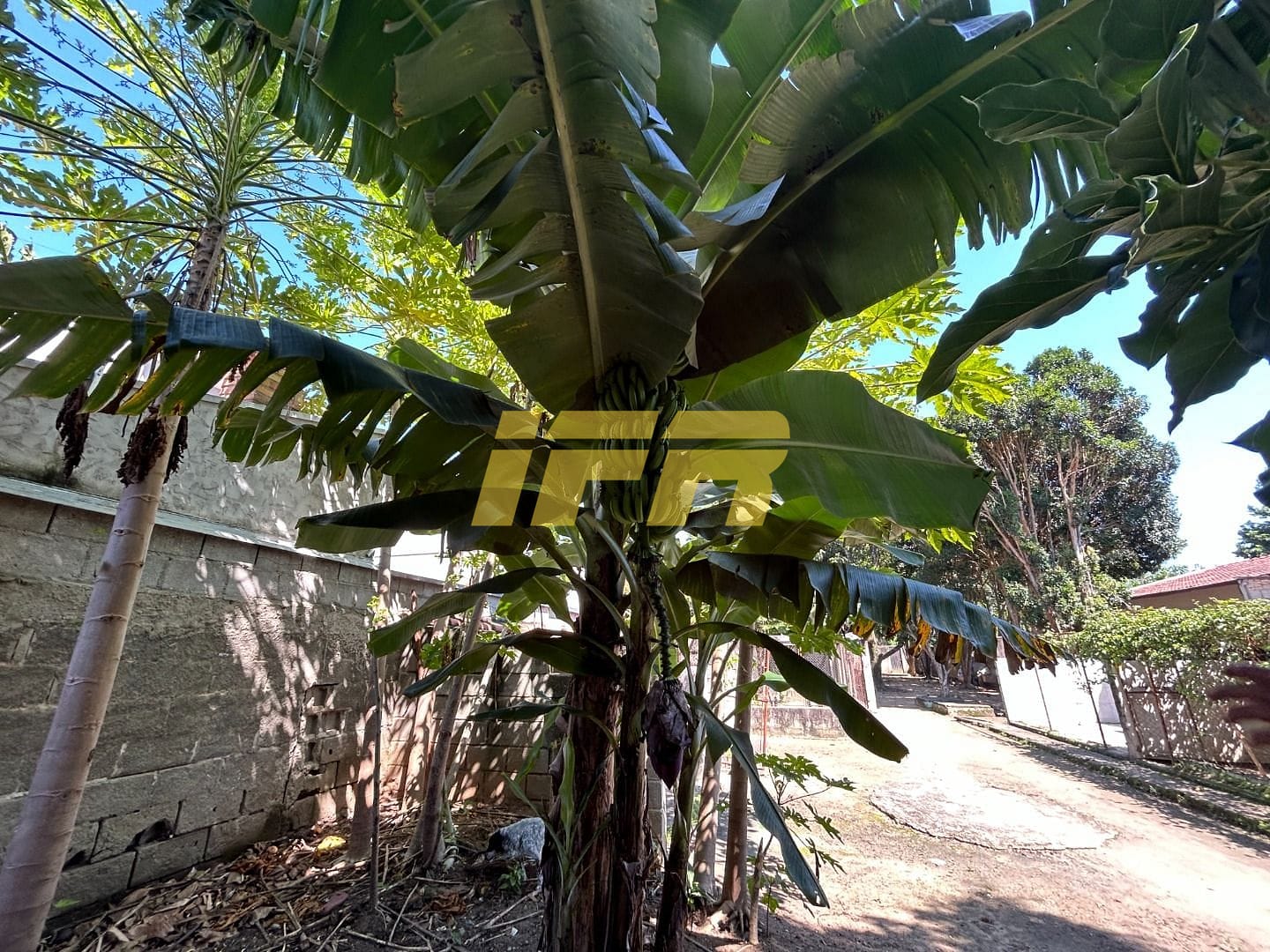 Chácara, 2 quartos, 1050 m² - Foto 16