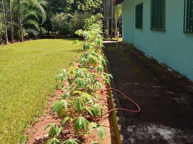 Chácara com 5000m² 3 quartos e 1 banheiro, à venda, no bairro Quinta dos Sonhos em Abadia de Goiás