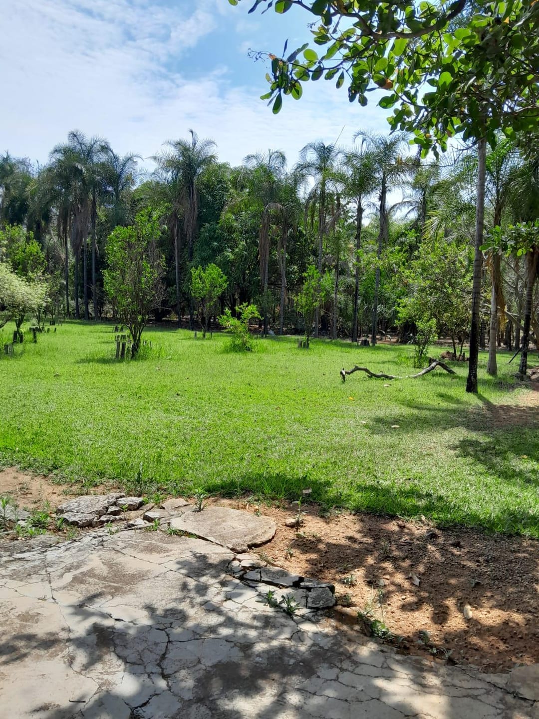Chácara, 3 quartos, 5000 m² - Foto 18