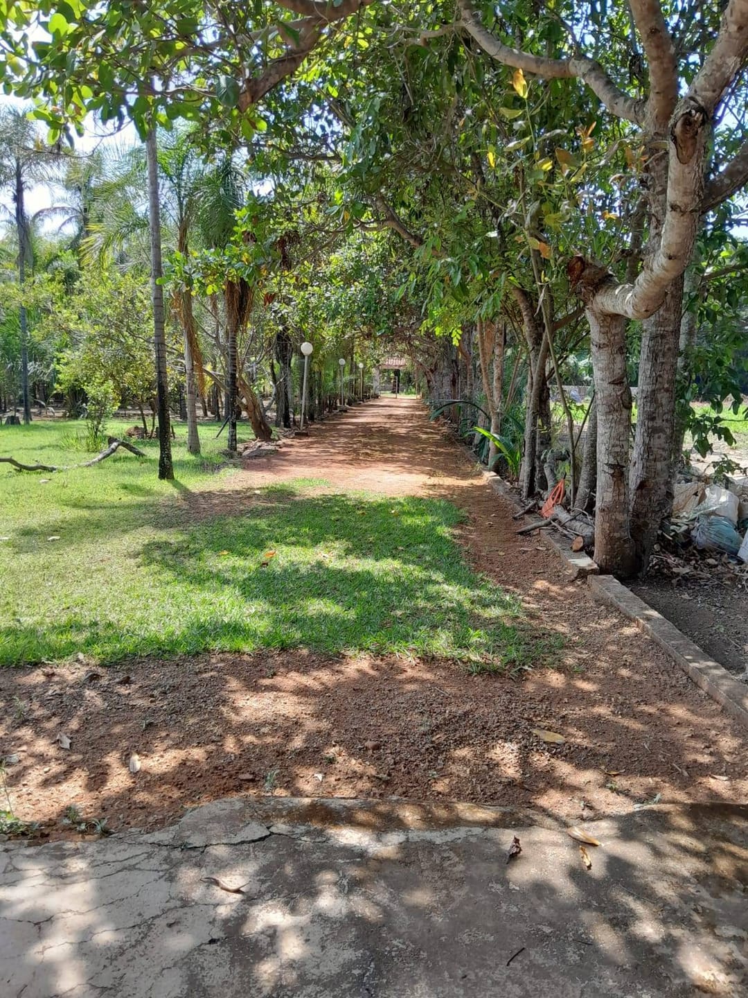 Chácara, 3 quartos, 5000 m² - Foto 36