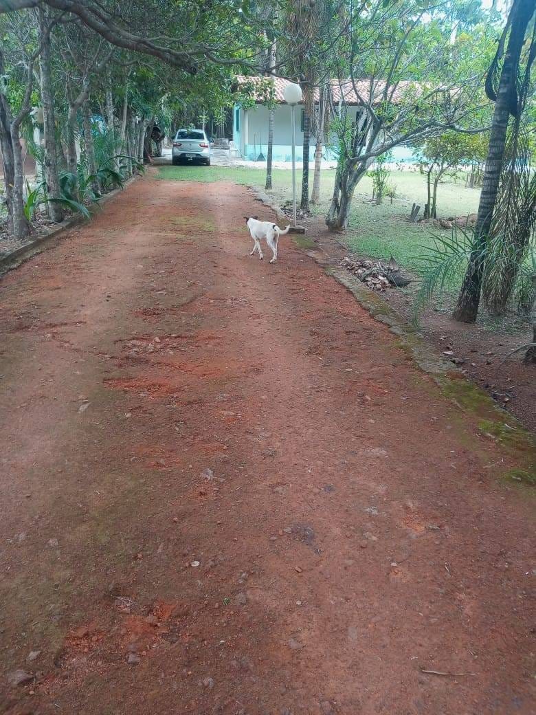Chácara, 3 quartos, 5000 m² - Foto 35