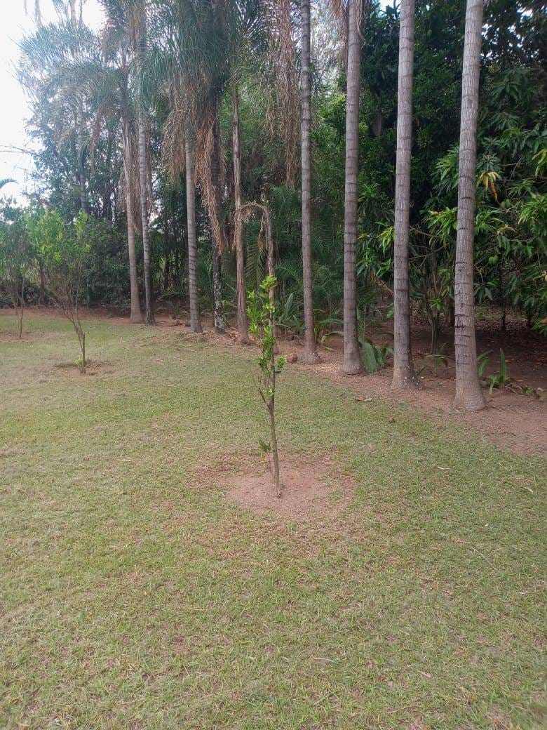 Chácara, 3 quartos, 5000 m² - Foto 30