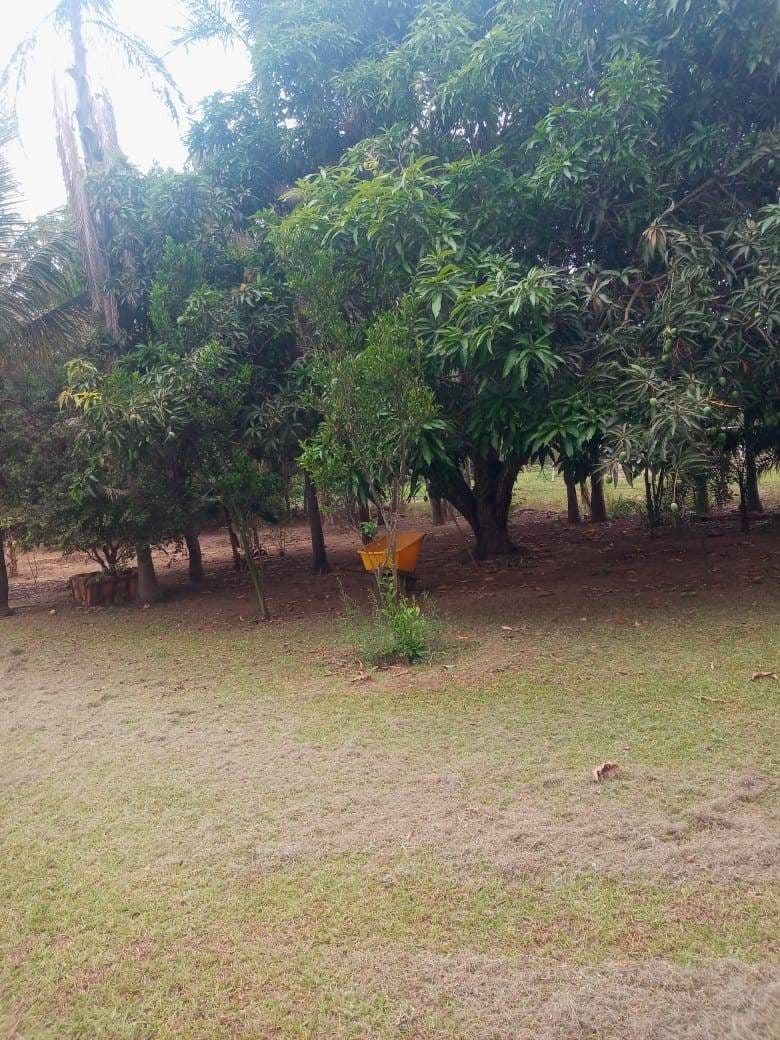 Chácara, 3 quartos, 5000 m² - Foto 29