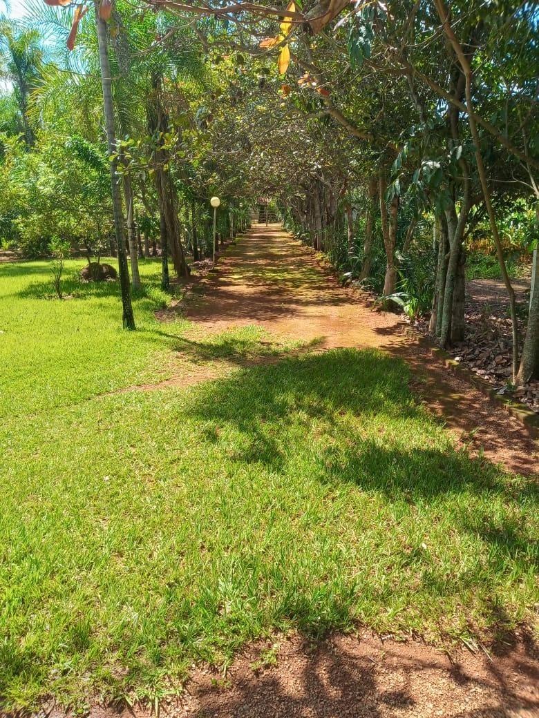Chácara, 3 quartos, 5000 m² - Foto 19