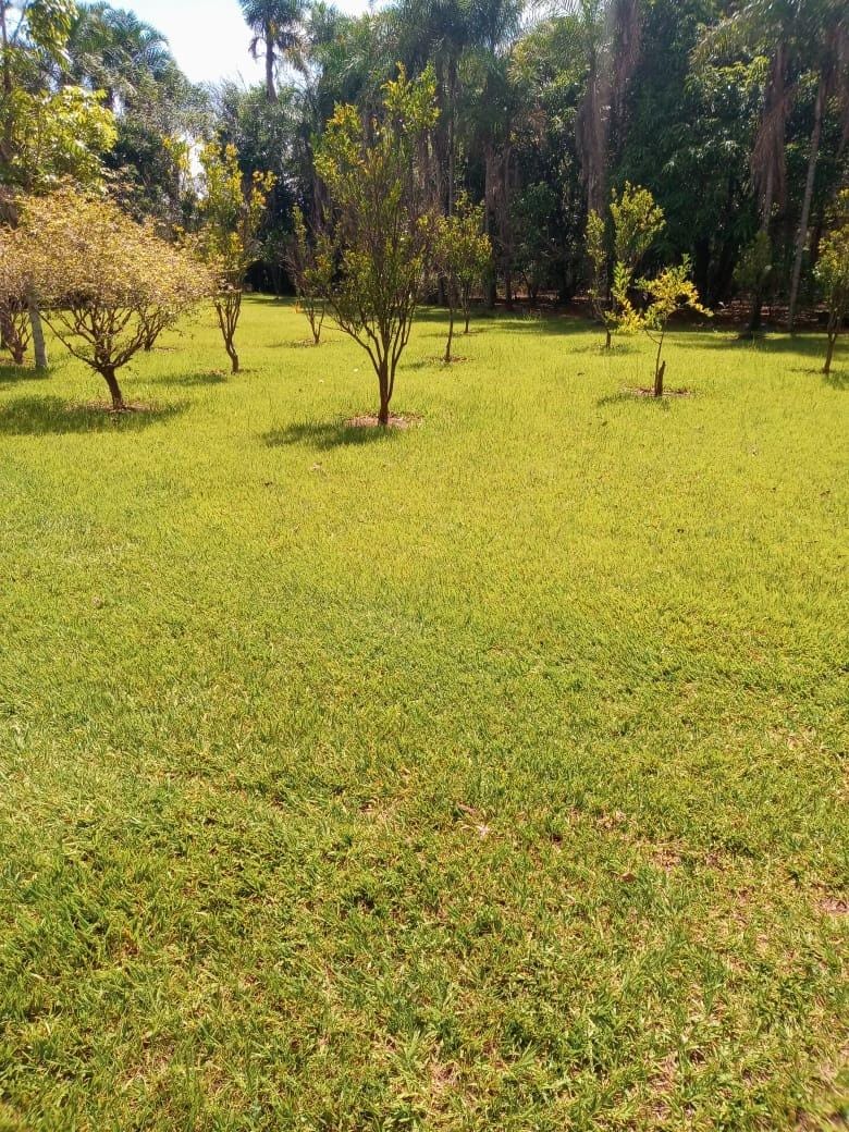 Chácara, 3 quartos, 5000 m² - Foto 14