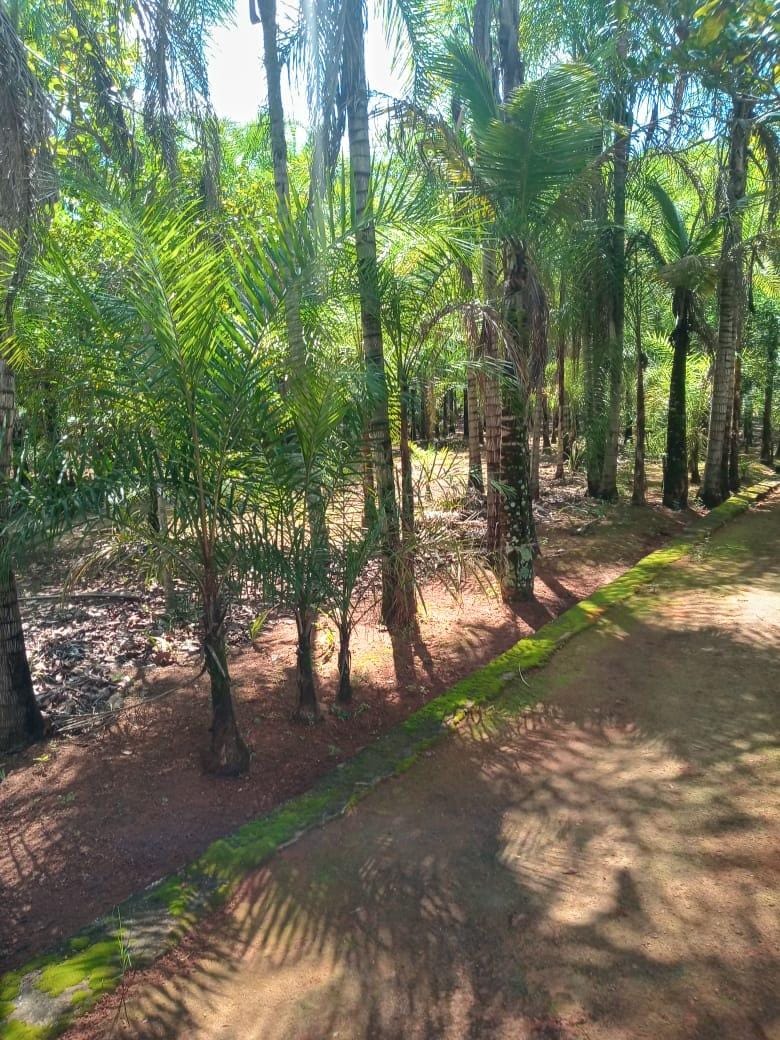 Chácara, 3 quartos, 5000 m² - Foto 27