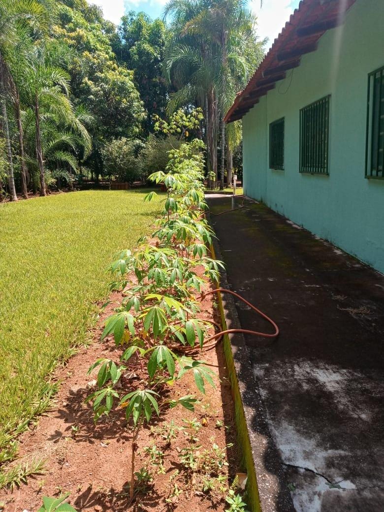Chácara, 3 quartos, 5000 m² - Foto 4