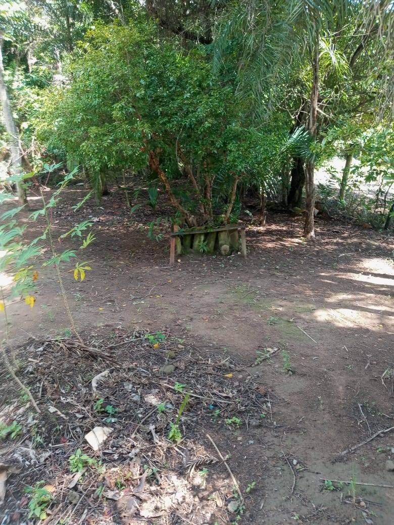 Chácara, 3 quartos, 5000 m² - Foto 26