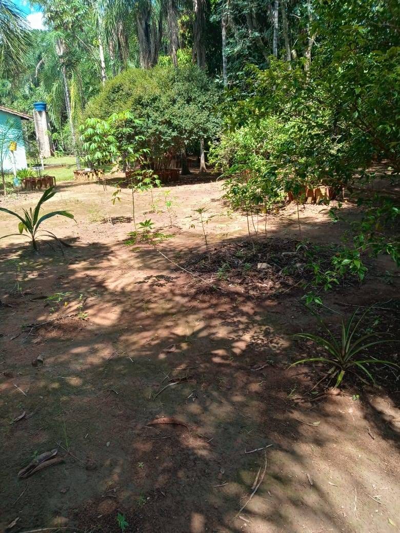 Chácara, 3 quartos, 5000 m² - Foto 24
