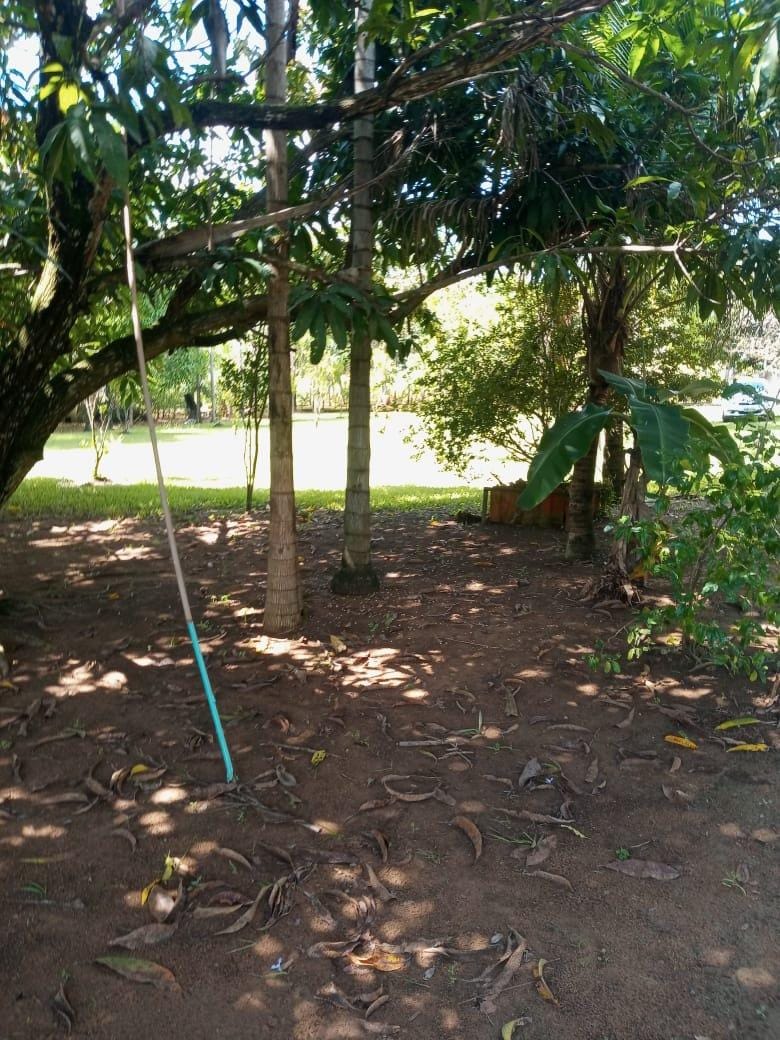 Chácara, 3 quartos, 5000 m² - Foto 23