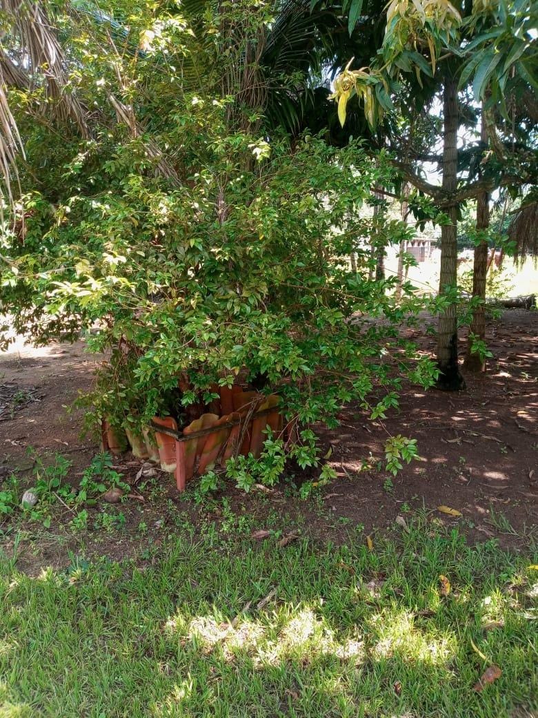 Chácara, 3 quartos, 5000 m² - Foto 21