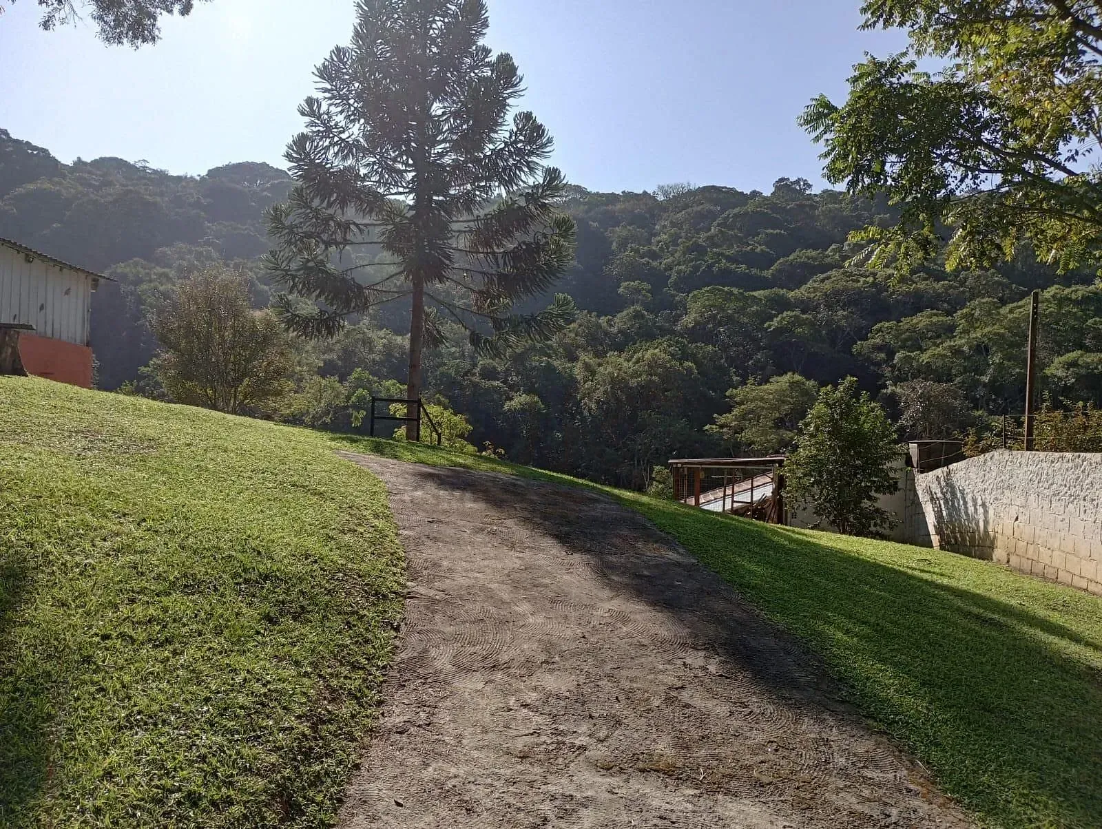 Chácara, 3 quartos, 2870 m² - Foto 13