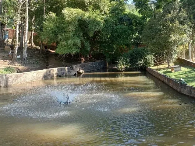Chácara com 2870m² 3 quartos e 1 banheiro, à venda, no bairro Nova Califórnia em Rio Grande da Serra