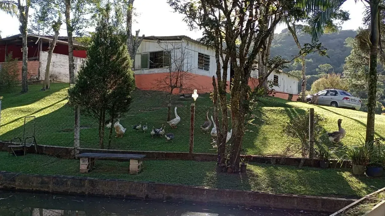 Chácara, 3 quartos, 2870 m² - Foto 11