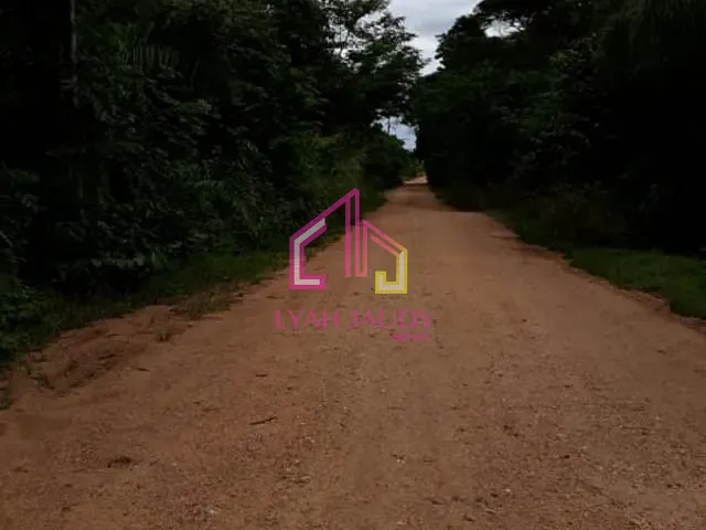 Chácara com 46000m² 2 quartos e 2 banheiros, à venda, no bairro rural em Santo Antônio do Leverger