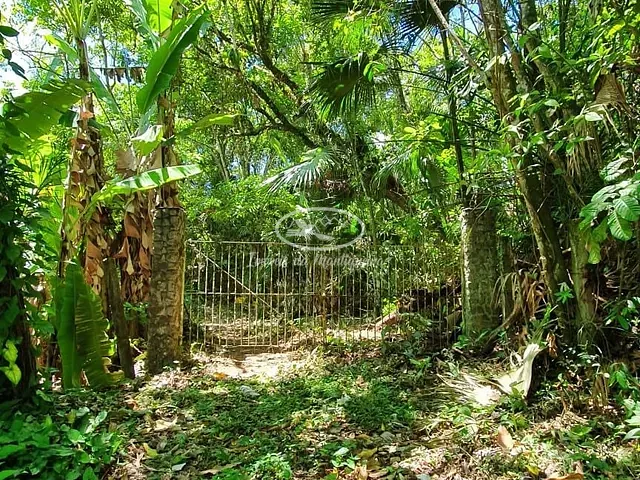 Chácara com 22000m², à venda, no bairro Paraiso Perdido em Itatiaia
