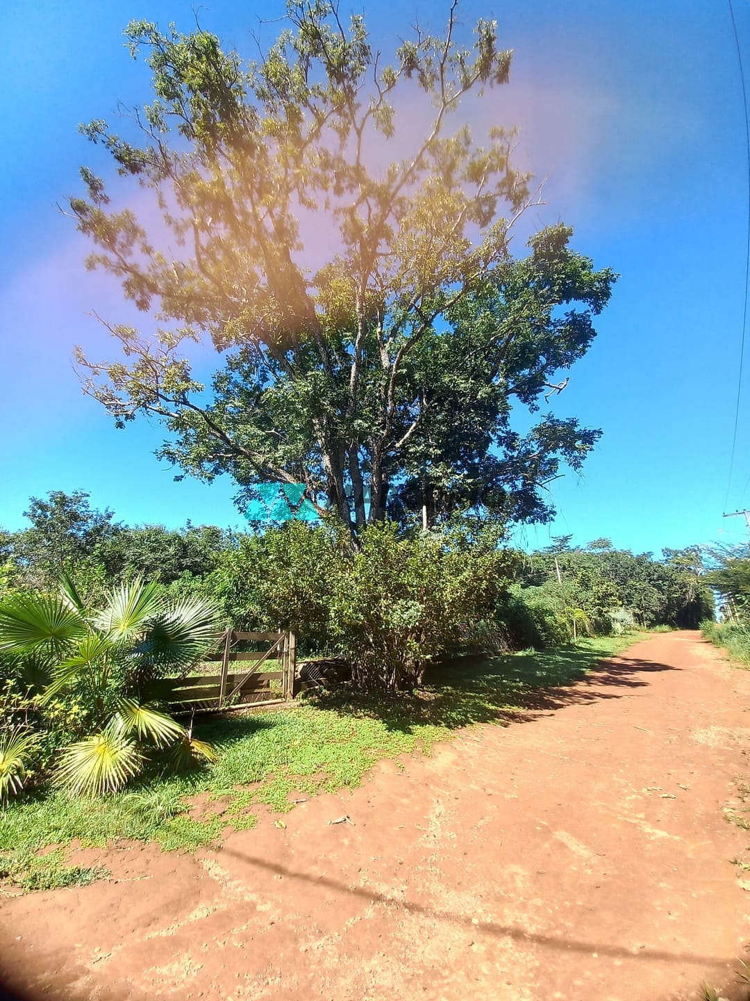 Chácara à venda com 1 quarto, 1788m² - Foto 2