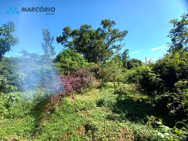 Chácara com 1788m², à venda, no bairro Condomínio das Palmeiras em Bela Vista de Goiás