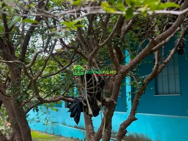 Chácara com 120000m², à venda, no bairro Zona Rural em Altos