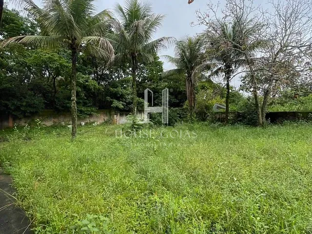 Chácara 6 quartos e 4 banheiros, à venda, no bairro Parque Veiga Jardim em Aparecida de Goiânia