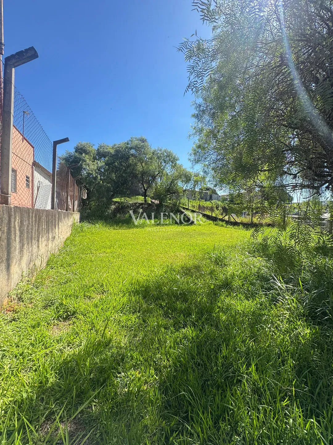 Sítio, 3 quartos, 3000 m² - Foto 10