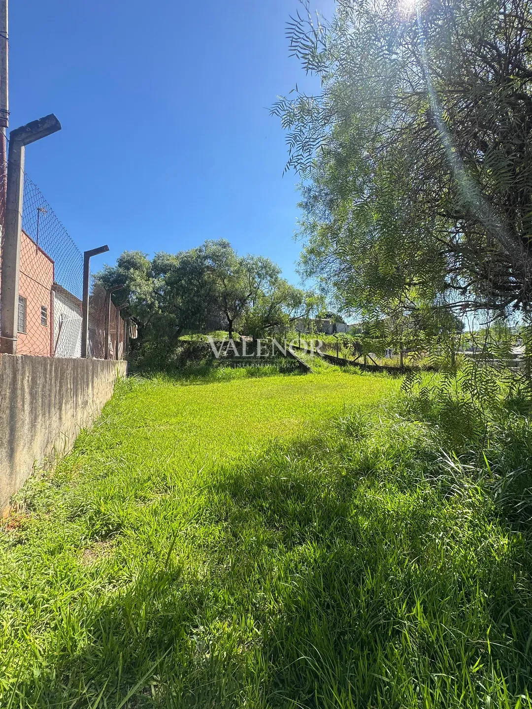 Sítio, 3 quartos, 3000 m² - Foto 8