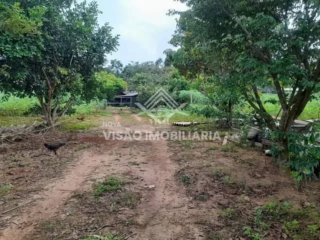 Chácara com 10000m², à venda, no bairro Camping Club em Sinop