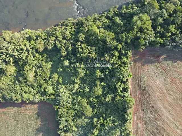 Chácara com 24000m², à venda, no bairro Estrada do Limoeiro em Londrina