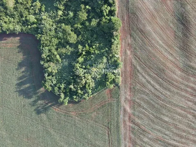 Chácara com 24000m², à venda, no bairro Estrada do Limoeiro em Londrina